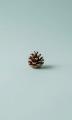 A single brown pine cone isolated on a minimalist pastel blue background, representing natural simplicity and the winter season