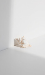 A single ornate seashell placed in a pristine white corner, where light and shadow create a balanced and serene geometric composition