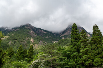 Beautiful view on the trail of Mount Huangshan, gorgeous rocks and strange pine in the mountain, in Anhui Province, China.