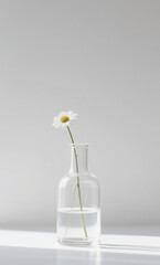 Minimalist still life of a single chamomile daisy in a transparent glass vase, symbolizing simplicity and purity in a bright, airy setting