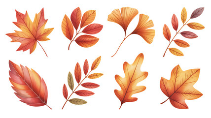 Obraz premium 秋の落ち葉コレクション｜カエデ・イチョウ・オーク