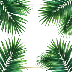 Tropical palm leaves frame a dark center © Abu