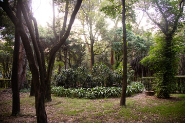 Viveros de Coyoacán Park is one of the oldest and most important parks in Mexico City. © Leckerstudio