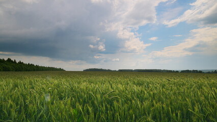 Lush, expansive green fields stretch underneath a dramatically beautiful, cloudy sky above