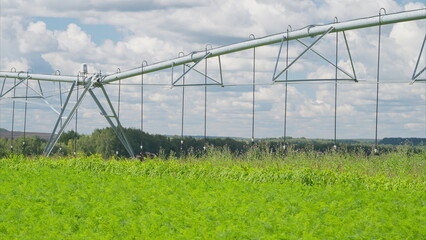 An Irrigation System Operating Over Lush and Fertile Green Fields Enhances Productivity and Growth