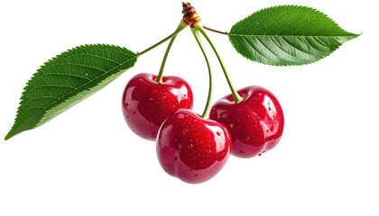 Three fresh, ripe cherries, glossy red, hanging from a branch with lush green leaves