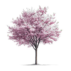 Obraz premium A tree with pink flowers is the main focus of the image