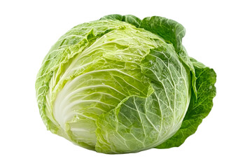 Fresh, vibrant green cabbage showcasing its crisp layers. Ideal for salads, stews, or healthy dishes, this vegetable adds nutrition and flavor.