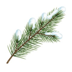 Isolated Green Pine Branch with Snow Cover, White Background, Natural Winter Decoration, Christmas