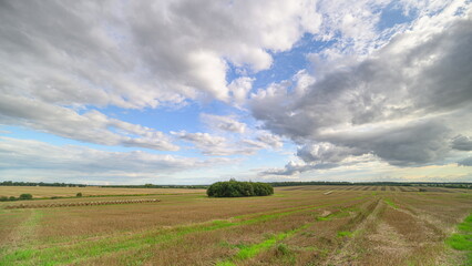 Obraz premium Experience a Scenic Panoramic View of Expansive Open Farmland Set Against Dramatic Clouds