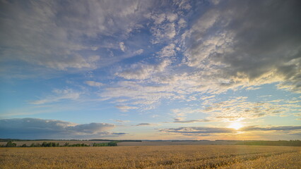 Fototapeta premium A Stunning and Scenic Sunrise Over a Serene Field Surrounded by Beautiful Cloud Patterns