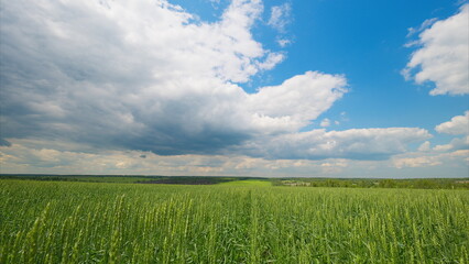 Obraz premium A Breathtaking Landscape Featuring Lush Fields Sprawled Under an Expansive, Dramatic Sky