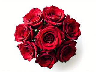 Obraz premium bunch of roses