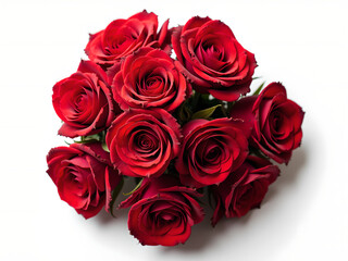 Obraz premium bunch of roses