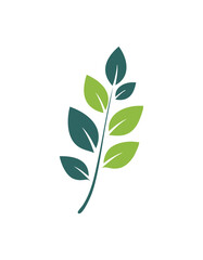 Fototapeta premium Two-toned green leaf branch on white background plant