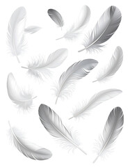 Obraz premium Floating, stylized feathers in shades of gray and white