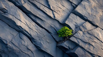 A small vibrant green plant thriving in the crevice of a rugged textured rock formation showcasing the remarkable resilience of life in nature