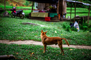 natural backdrop with large mountains surrounding it,a clear sky with clouds flowing through, cool breeze blowing through the viewpoints at famous tourist attractions.An adventure during the journey.