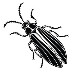 Detailed Black and White Illustration of a Lightning Bug Depicting its Anatomy and Distinctive Features with Artistic Flair