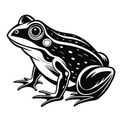 Stylized Monochrome Frog Illustration Featuring Detailed Eye and Skin Markings Set Against a Clean White Background for Versatile Use