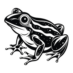 Striking Black and White Frog Illustration with Bold Outlines and Intricate Details Capturing Amphibian Elegance
