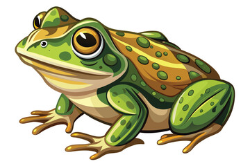 Cartoon Green Frog with Golden Eyes and Brown Spots, Detailed Illustration of a Vector Image of a Bullfrog or Similar Amphibian