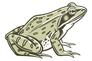 Vintage Illustration of a Green and Brown Frog, Sitting in Profile, with Bold Outlines and Neutral Tones