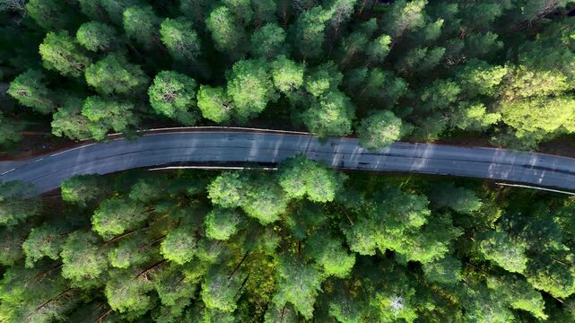 Experience the stunning aerial view of Nature Bridge Esker, showcasing lush green forests and winding roads. Drone aerial view of Punkaharju Nature Reserve road in Finland