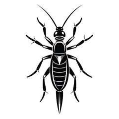 Monochrome Vector Image of an Earwig with Elongated Body, Prominent Cerci, and Many Legs, Displaying Anatomical Details in a Stylized Manner