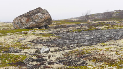 A typical landscape of the polar tundra on a rainy, cloudy day in late autumn.