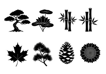 Black and white botanical illustrations of various plants and plant parts.