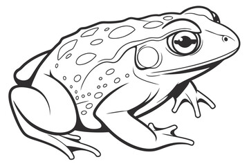 Monochromatic Illustration of a Bullfrog Ready to Leap into Action with Detailed Line Work and Expressive Features on a White Canvas