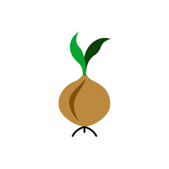 Illustration of a sprouting onion bulb on transparent background
