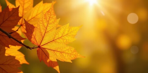 Fototapeta premium Sunlit yellow, overlapping autumn leaves creating depth , colorful, yellow, image