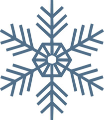 Stylized Blue Snowflake Icon winter cold