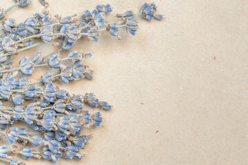 Macro photo of dried lavender stems on vintage craft paper with space for text