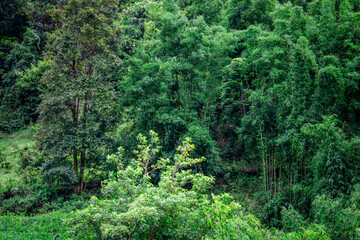 natural backdrop with large mountains surrounding it,a clear sky with clouds flowing through, cool breeze blowing through the viewpoints at famous tourist attractions.An adventure during the journey.