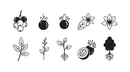 Collection of hand drawn botanical illustrations in silhouette style