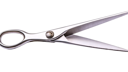 Precision Silver Scissors