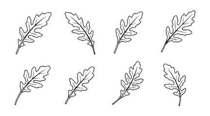 Collection of stylized oak leaf silhouettes in a delicate outline style
