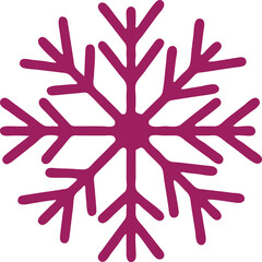 snowflake icon  simple icon. Vector ICON all icon Viktor
