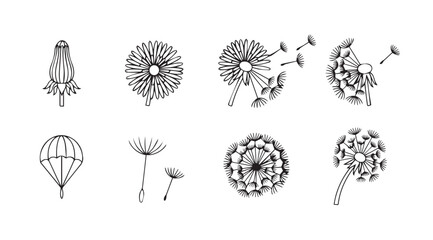 Collection of dandelion seed head illustrations in silhouette style