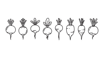 Hand drawn outline silhouette of various radish vegetables in a row