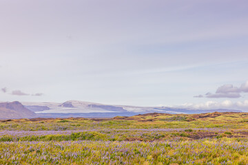 Obraz premium : Beautiful volcanic landscape in Iceland, glacier region in Iceland