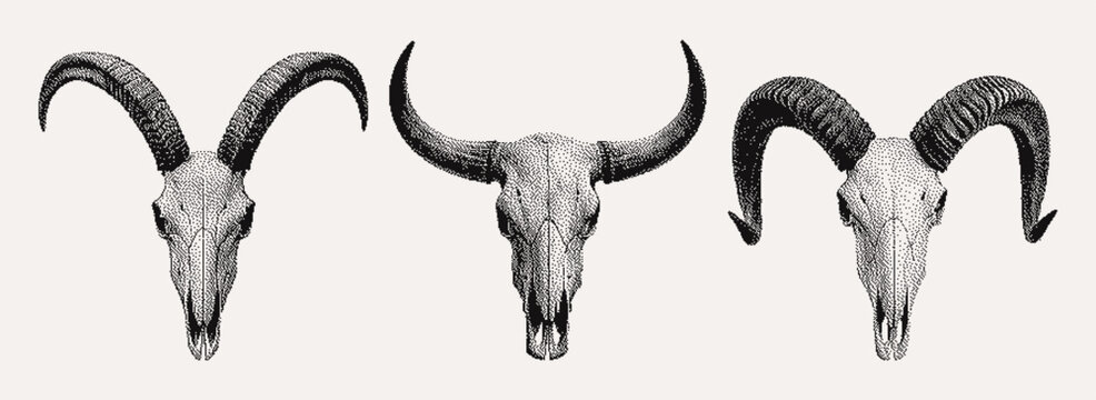 Brutal pixel style animal skull set with horns. A goat, bull, and ram. Perfect for retro project, digital collage, gothic, western, or occult designs.