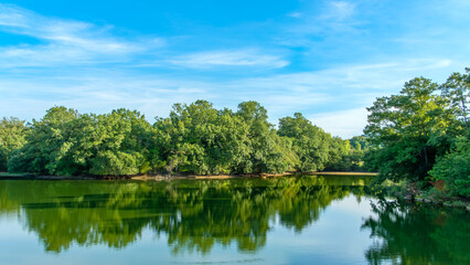 青空に映える湖と緑豊かな森の静かな風景