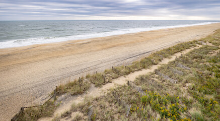 Sand dune restoration