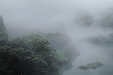 霧がかかっている岐阜県揖斐川町の森と川