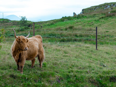Travel in Scotland