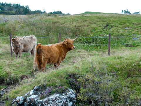 Travel in Scotland
